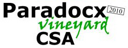 CSA logo
