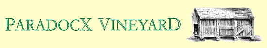 Paradocx Vineyard